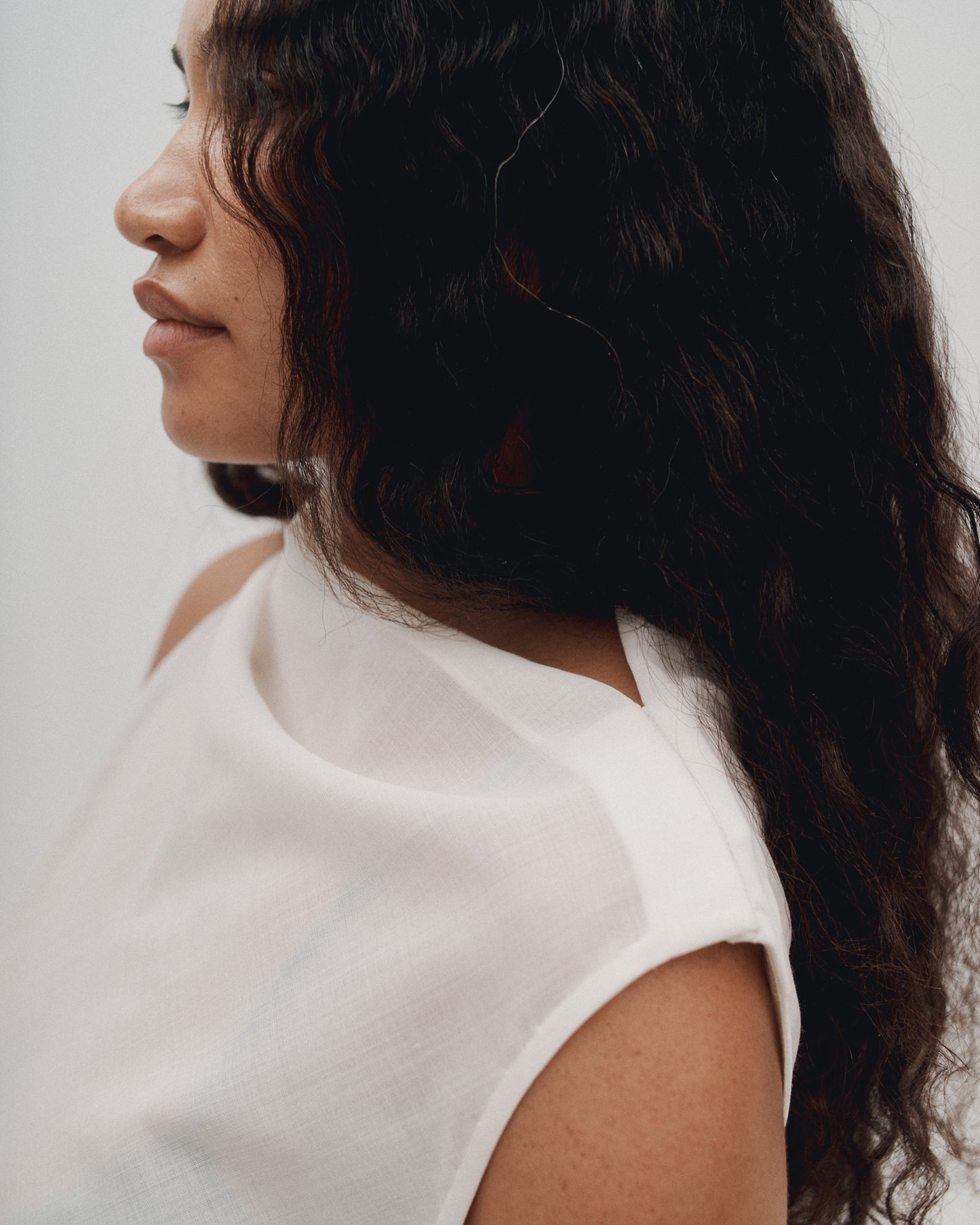 THE PLEAT DRESS